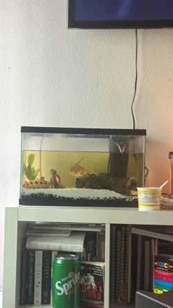 10 gallon tank