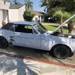 1966 Ford Mustang