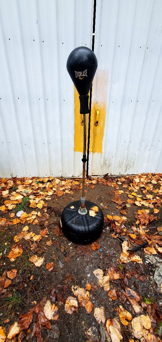 Everlast Punching Bag