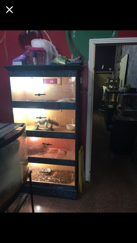 Reptile display case