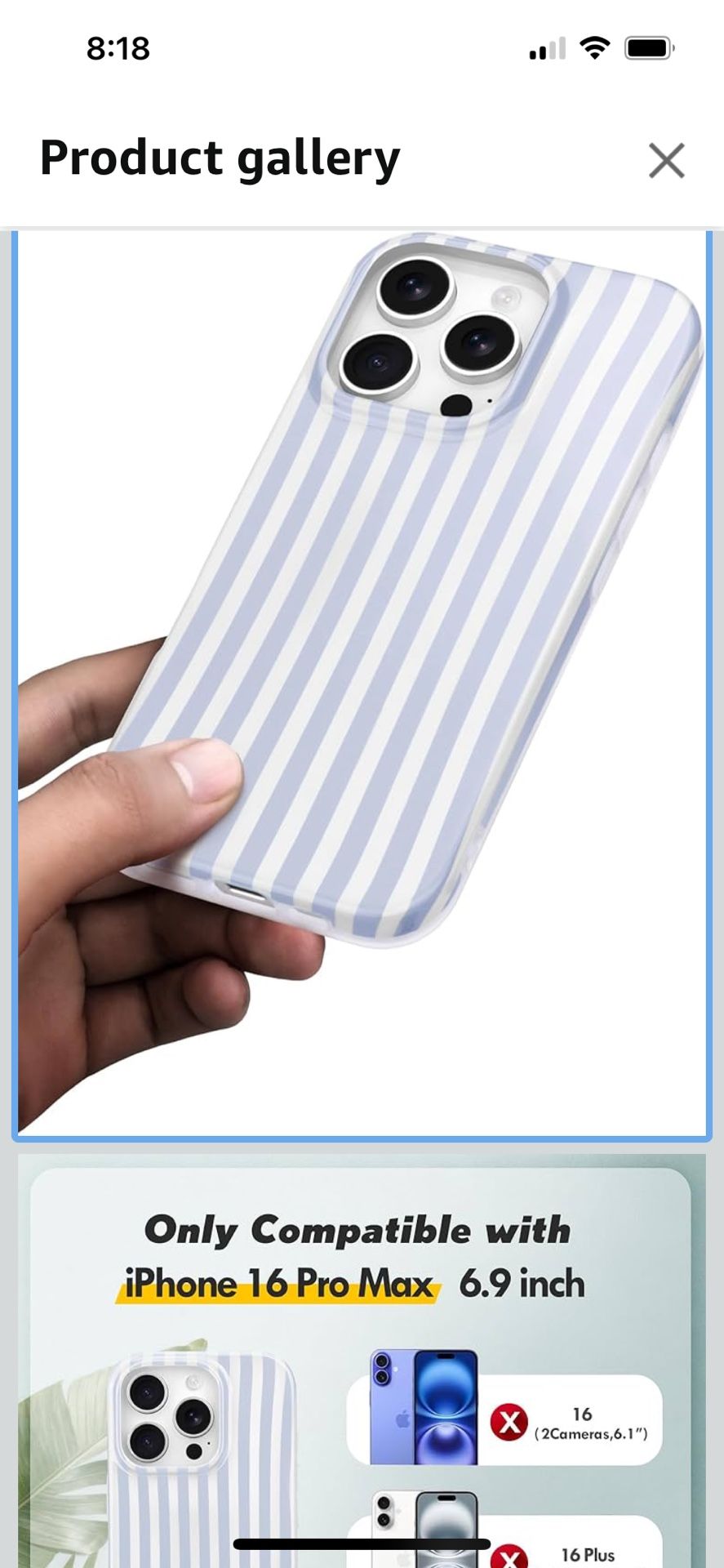 iPhone 16 Pro Max Case