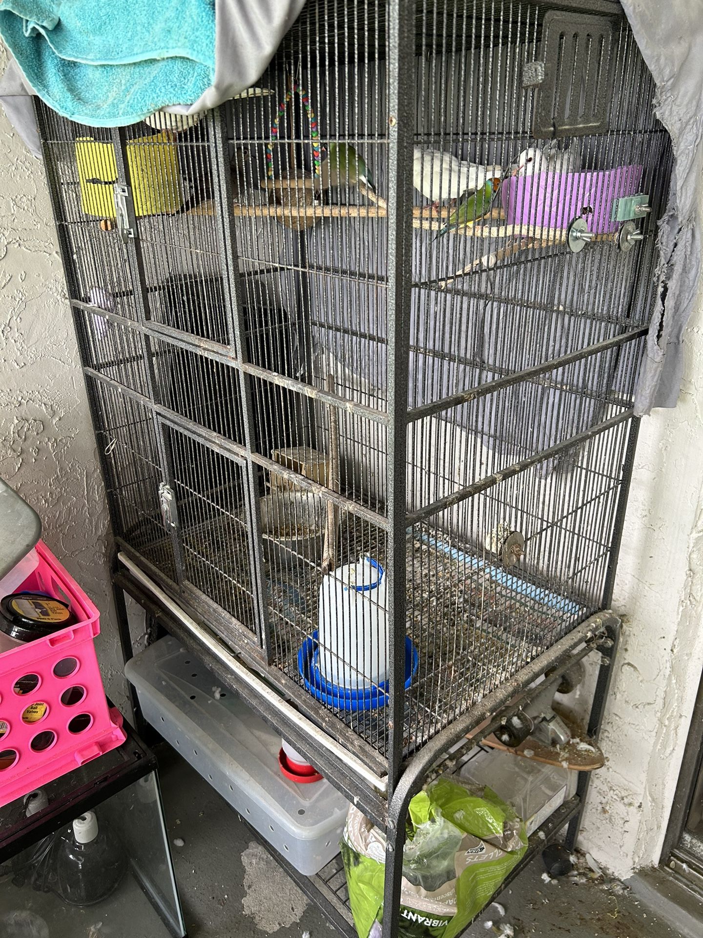 Bird Cage For Sale for Sale in Pompano Beach, FL OfferUp