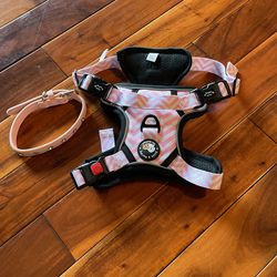 New Dog Harness Zelda & Harley Pink Jeweled Collar 