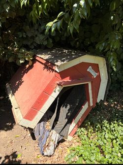 Insulated Dog House