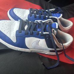 Nike dunks lows 
