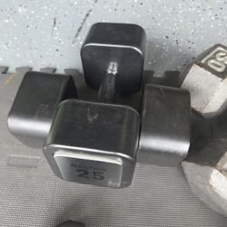 25 Lbs Dumbbells Set Weightlift Workout Weight Exercise 25 Pounds Dumbells Set Reebok Dumbbells Set 