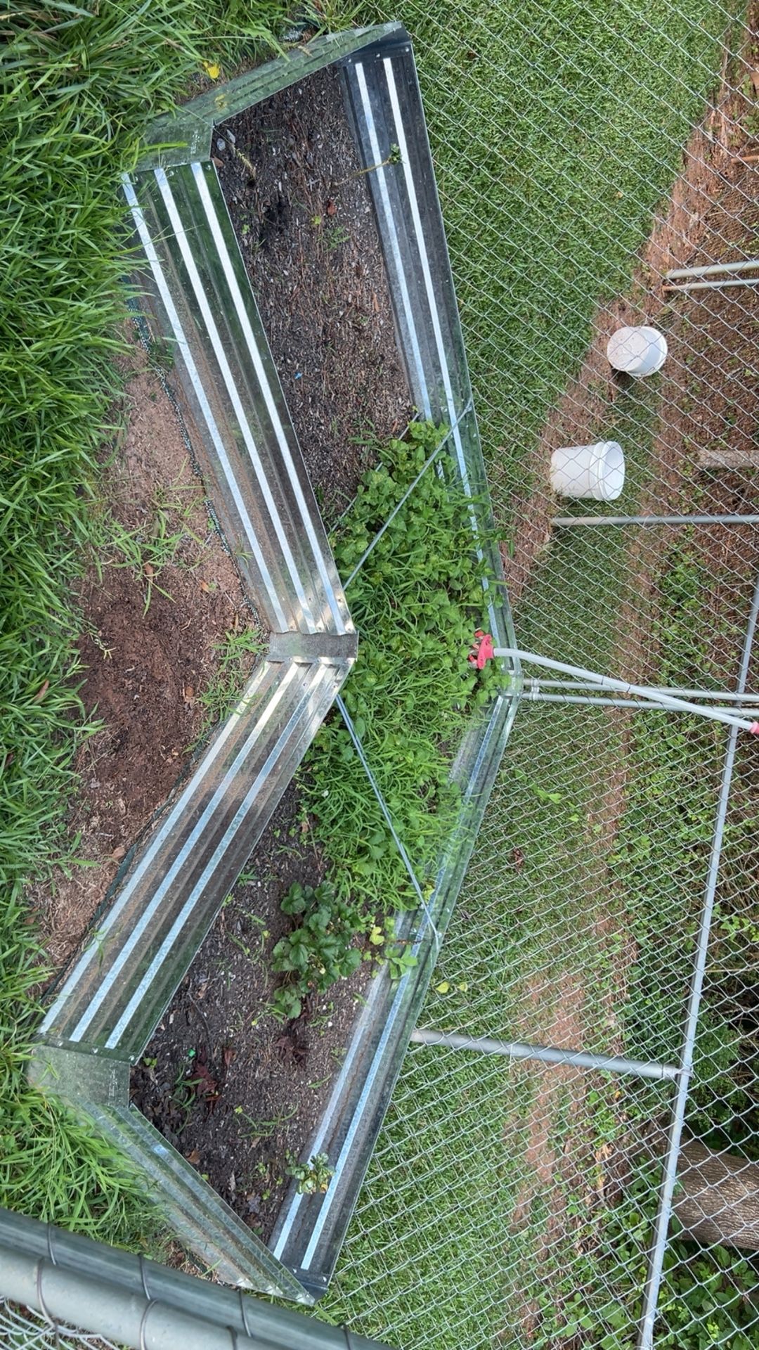 Rased Garden