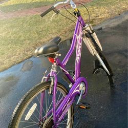 Avalon best sale purple bike