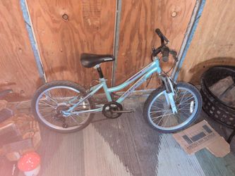 Granite peak kids mountain bike