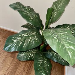 Gorgeous Fake Plant 🪴 