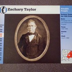 1997 Grolier Zachary Taylor President American History Vintage Collectible Large Card