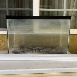 20 gal fish tank