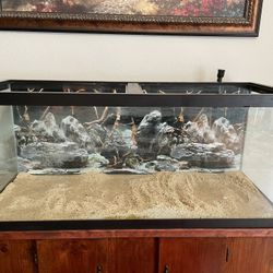 75 Gallon Fishtank In Very Good Condition