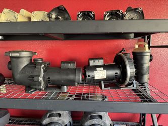 Sta Rite & Hayward Single Speed Pool Pumps 