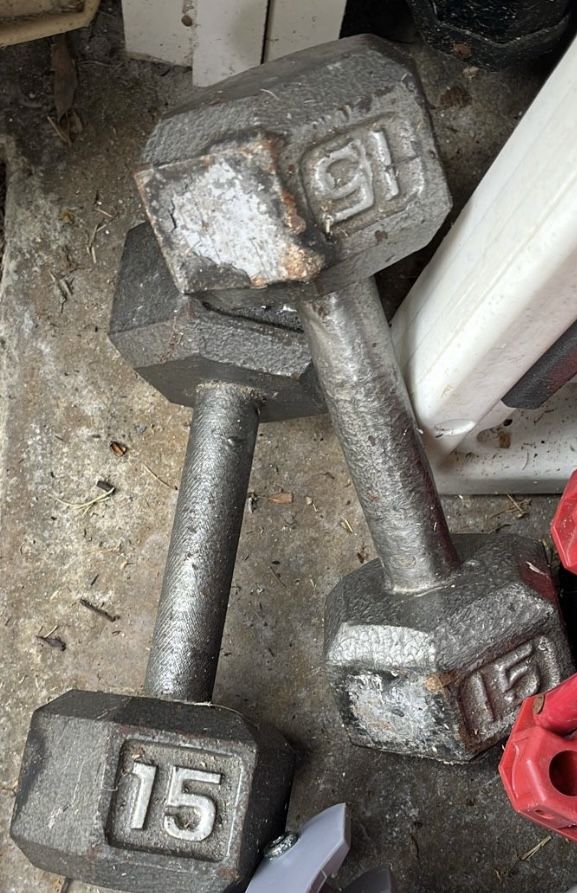 15 Lb Pound Steel Weights