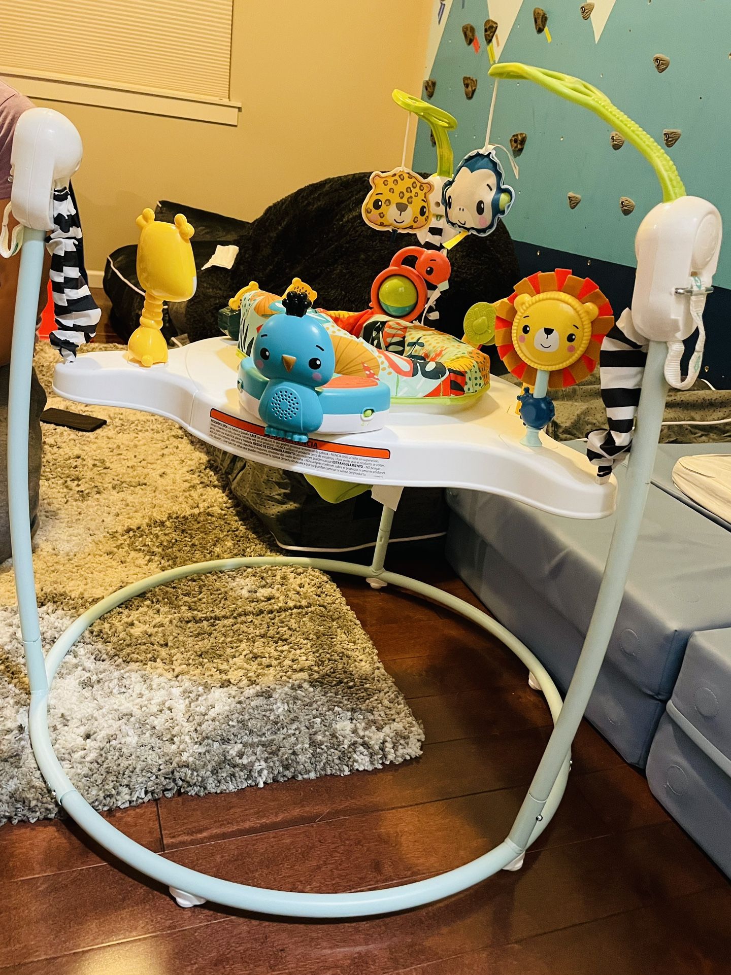 Baby Jumperoo