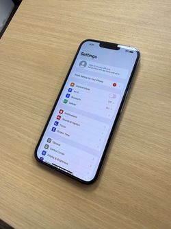 iPhone 13 Pro Max