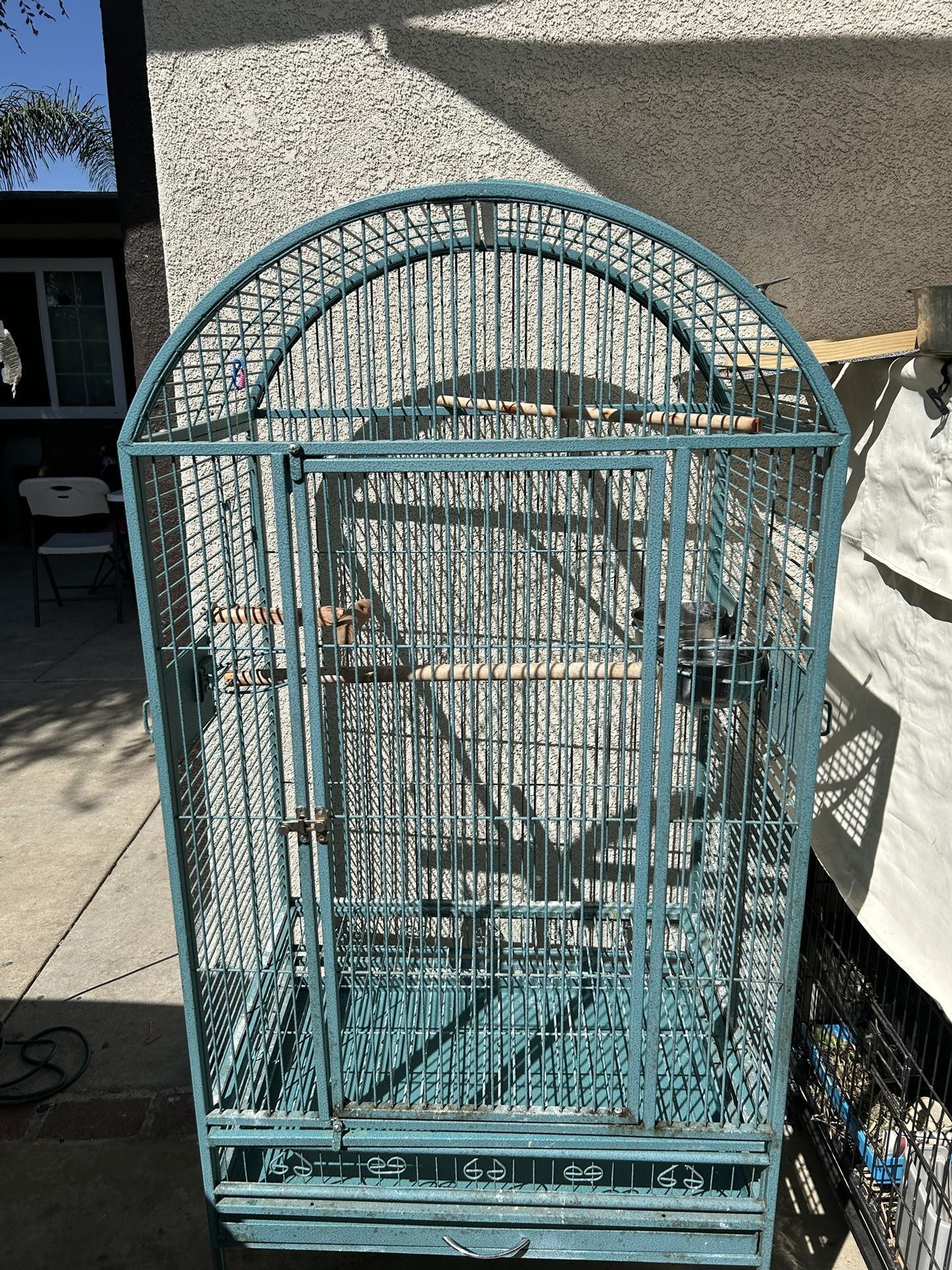 Bird Cage
