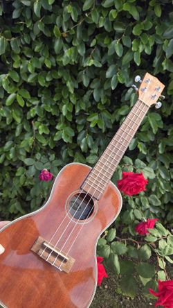 Ukulele 