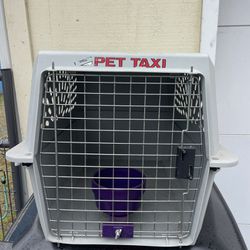Pet taxi Carer