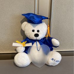 Graduation Teddy Bear 