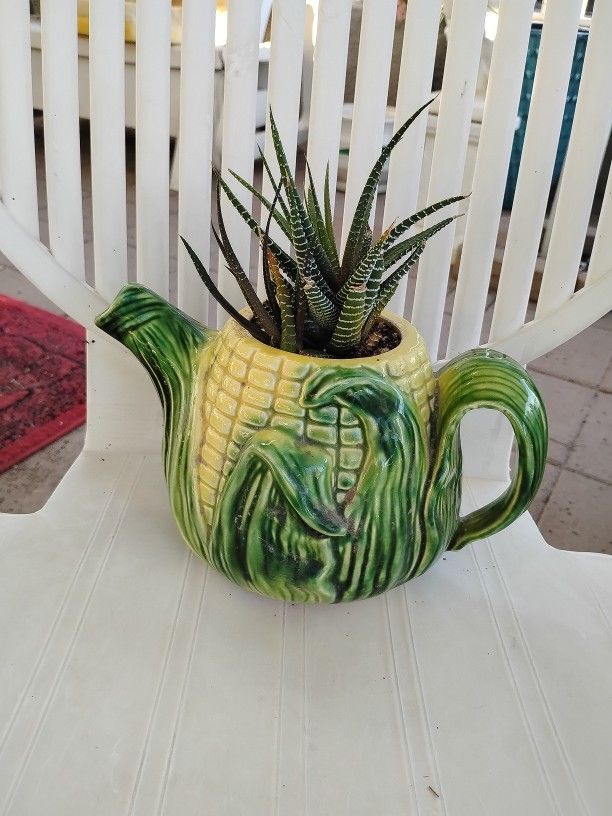 Creative Potted Succulents