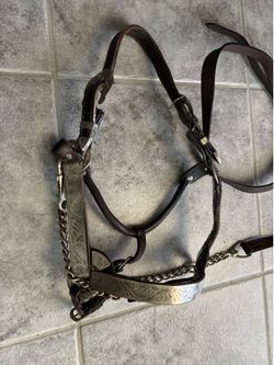 Leather & silver halter w/lead