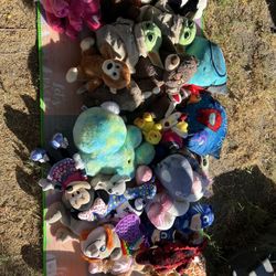 Stuffed Animals