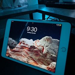 iPad Mini 4