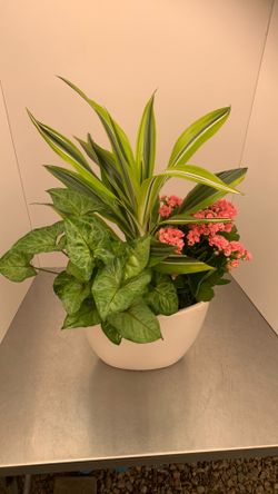 Arrangements w/white ceramic vase