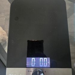 Food Scale 