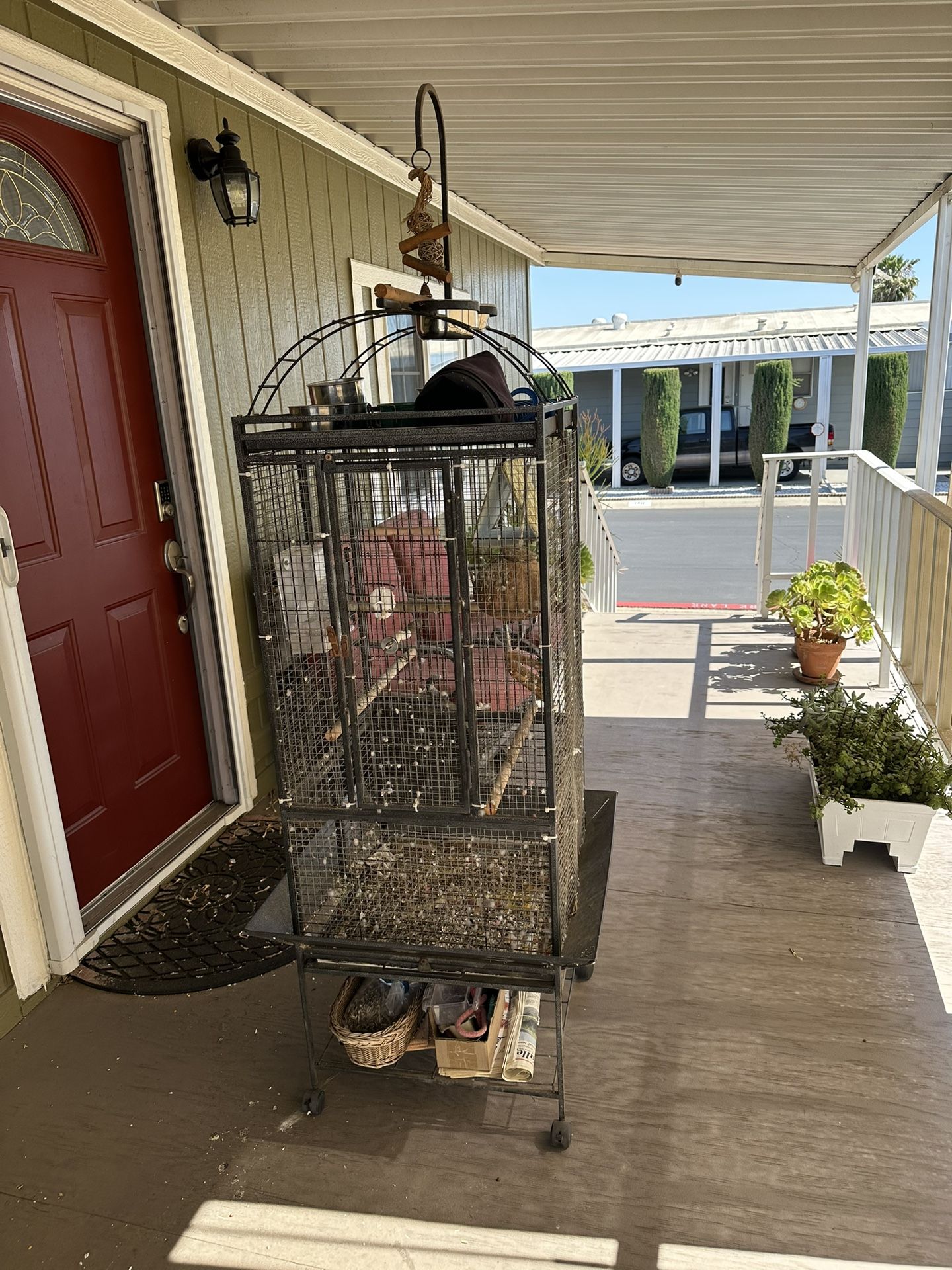 Bird Cage