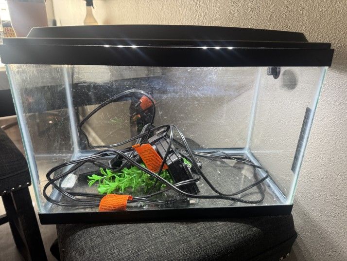 Fishing Tank
