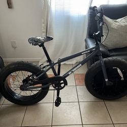 Mongoose Thick Tire Bike 