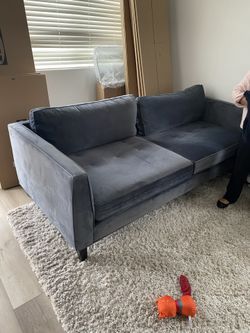 Velvet Couch