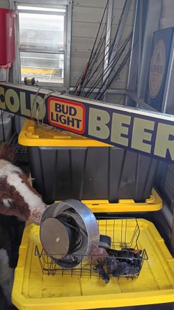 Bud Light Cold Beer Advertising Sign