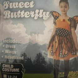Sweet Butterfly Custome 