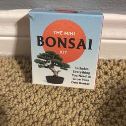 Bonsai tree mini kit