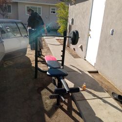 Weight Bench 