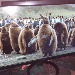 Monitor Acer 23.8 Inch