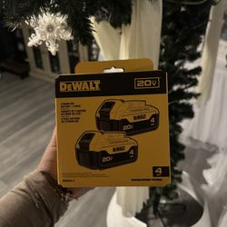 20V MAX Lithium-Ion 5.0Ah Battery (2-Pack)