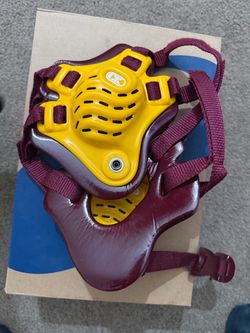 Wrestling head gear
