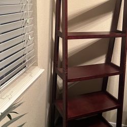 Ladder Bookshelf 