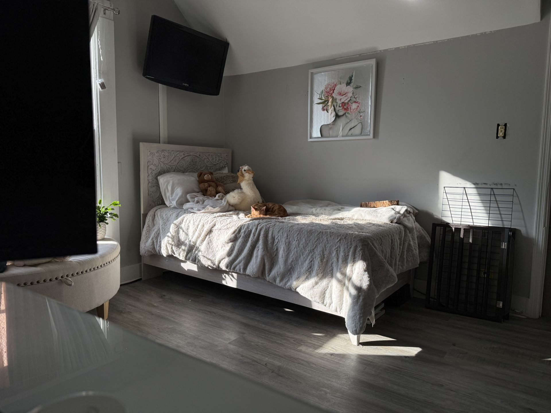 Bed Frame