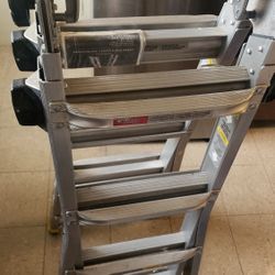 Little Giant Ladder 