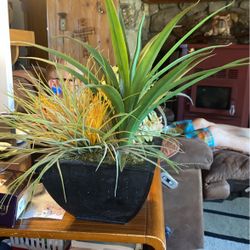 9”x18”artificial Succulent Plant 