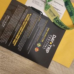 DayTrip 2day GA Wristband