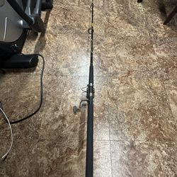 Fishing Rod / Reel Combo By SB And Okuma 