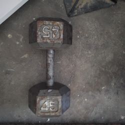 45lb Dumbbells