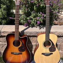 Yamaha Acoustic Guitars (2)